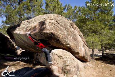 Shirleys in "La oveja negra" (1)